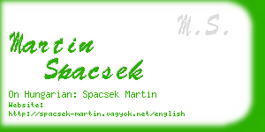 martin spacsek business card